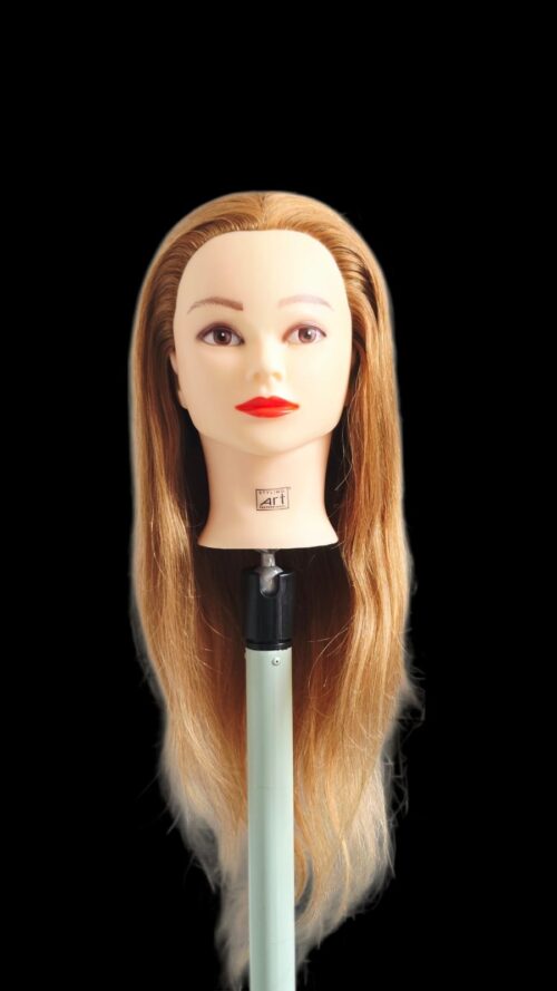 Real hair dummy  Without Shoulder- StylingArt